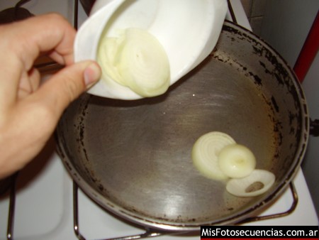 lomitomolleja05.jpg