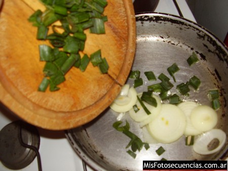lomitomolleja06.jpg
