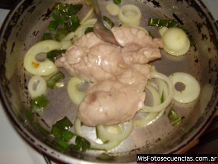lomitomolleja07.jpg