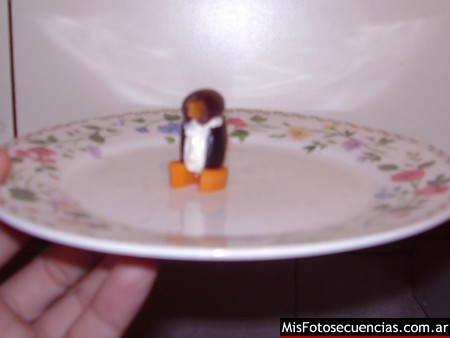pinguinos08.jpg